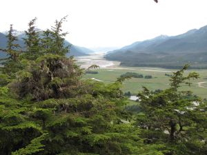 AlaskaCruiseDay1-2279