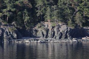 AlaskaCruiseDay1-8500