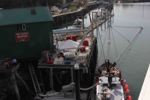 AlaskaCruiseDay1-9075